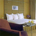 Hyatt Regency Hotel Paris Airport